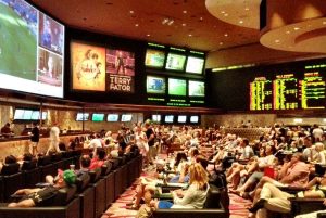 Sports betting lounge and gamers.